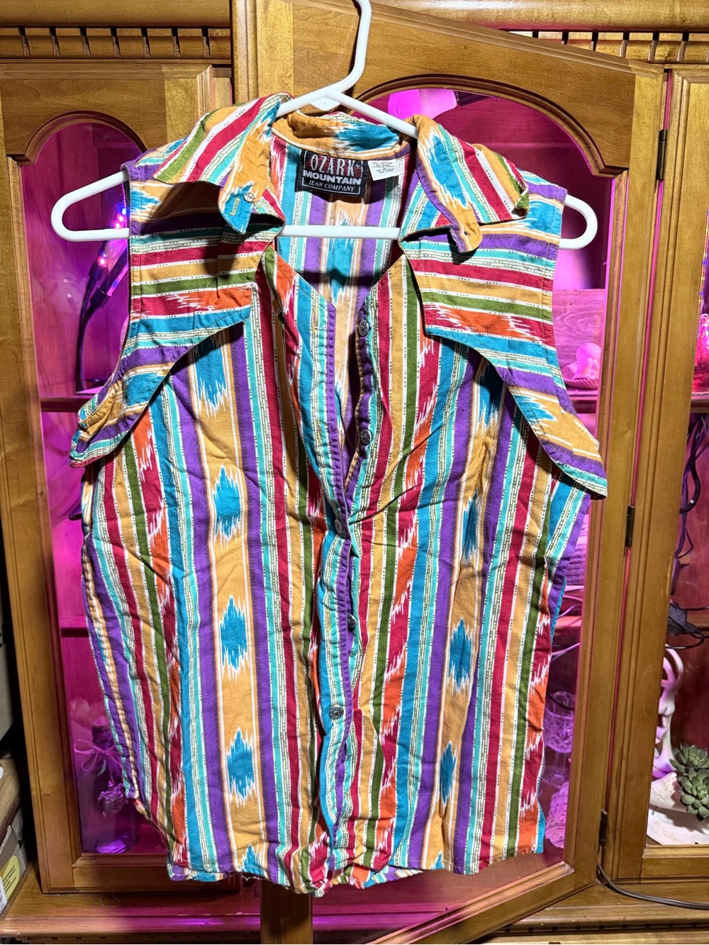 Vintage Ozark Mountain Colorful Striped Sleeveless  Button-Up Shirt